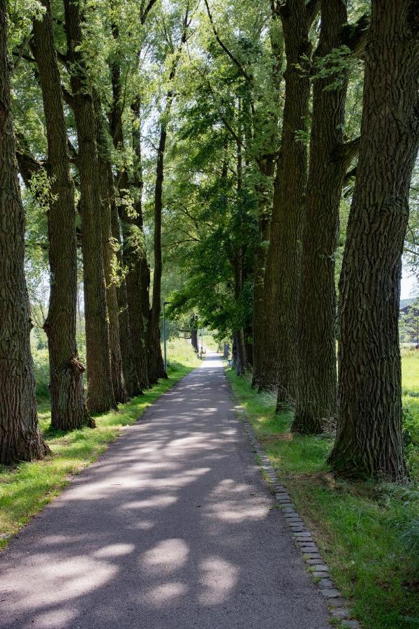 Gaestezimmer Aschenbrenner Bad Rodach Eksteriør billede